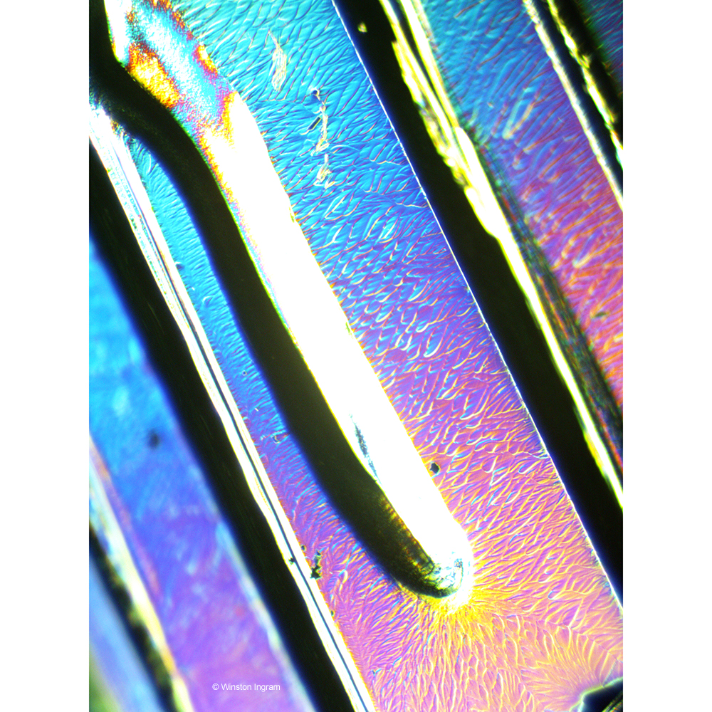 Elements of Periodic Table under Microscope | Microbus Microscope ...